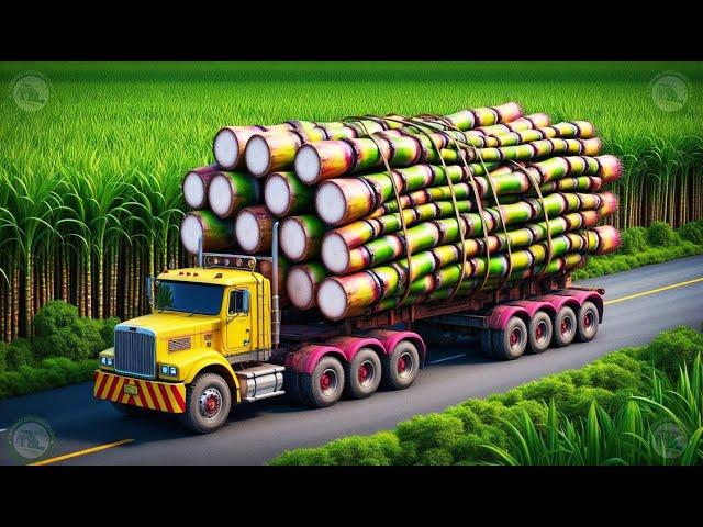 Sugarcane Farming and Processing | Farming Documentary | Modern Agriculture Technology