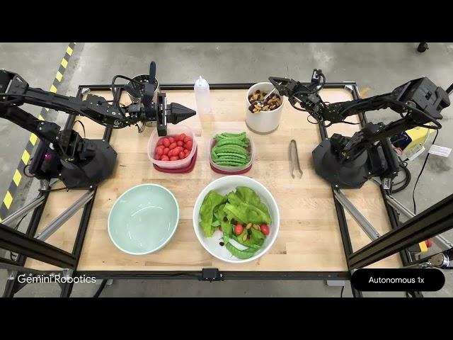 Gemini Robotics Demo: Salad Making