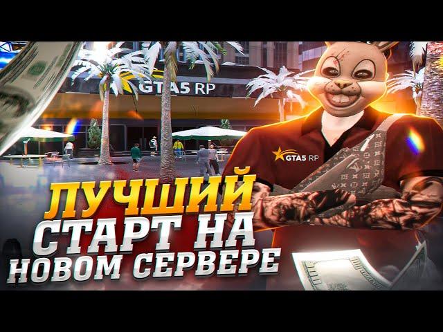 ЭТО САМЫЙ ЛУЧШИЙ СТАРТ НА НОВОМ СЕРВЕРЕ GTA 5 RP DAVIS | ВСТАЛИ НА ЛИДЕРКУ DAVIS В ГТА 5 РП / ТУЛЕВО