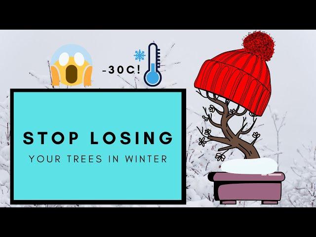 How to Overwinter Your Bonsai Trees