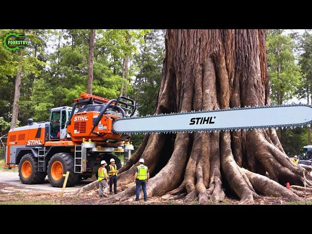Extreme Dangerous Fastest Big Chainsaw Cutting Tree Machines – Stump Lifts Excavator Off-Balance #94