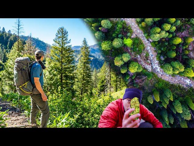 Finding Hidden Treasure Along a Boise River Creek