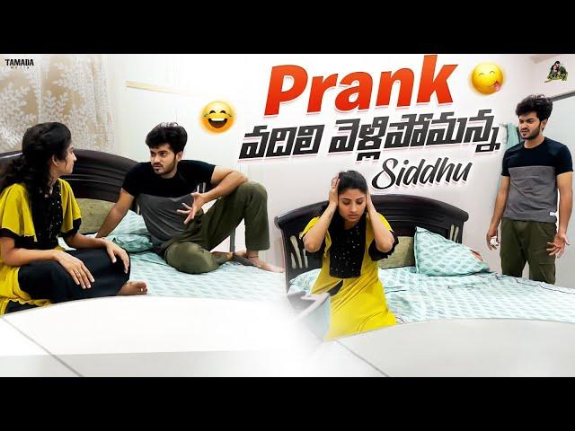 Prank || వదిలి వెళ్ళిపోమన్న Siddhu ||  @SidshnuOfficial   || Tamada Media