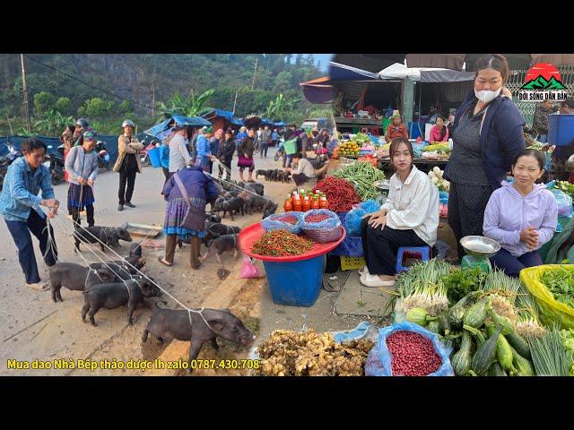 CHỢ PHIÊN MƯỜNG KHƯƠNG / bán toàn đồ lạ ,lợn bản chó mông bày bán la liệt .