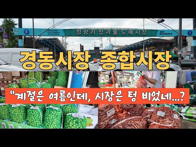 "Peas missing?! Plum prices plummet! Kyungdong Market in chaos!"? ~^ Healing Trip