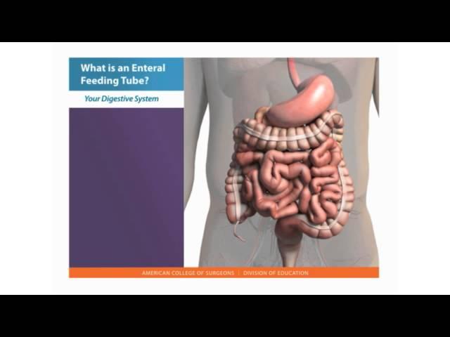 Feeding Tube Skills: What is an Enteral Feeding Tube?