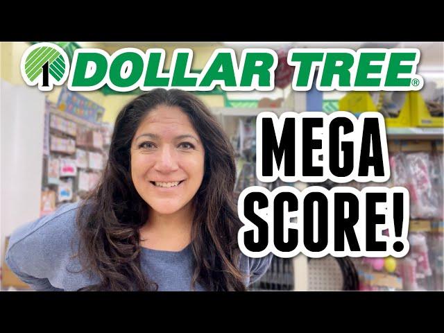 New DOLLAR TREE Things You SHOULD Be Buying NOW