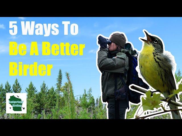 5 Game-Changing Tips for Taking Your Birding to the Next Level