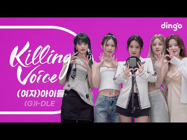 (여자)아이들((G)I-DLE)의 킬링보이스를 라이브로! - 퀸카, TOMBOY, 말리지마, POP/STARS, MY BAG, 한, 덤디덤디| 딩고뮤직 | Dingo Music