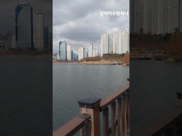 #김용빈나아직도#광교호수공원#원천호수#운동하기좋은공원#멋진호수#수원광교 2025.2.25.화요일