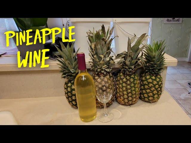 Making WINE From Grocery Store Fruits/ PINEAPPLE