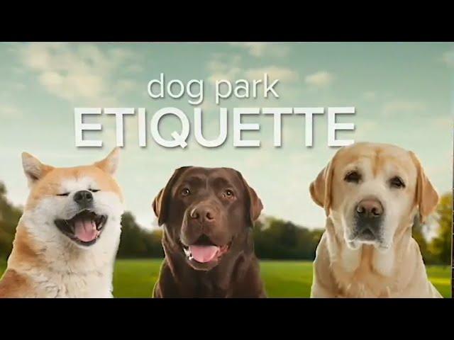 Proper Dog Park Etiquette