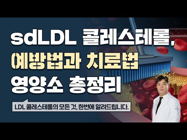 sdLDL 콜레스테롤 해결 방법 7가지 총정리(콜레스테롤 3편 마지막)