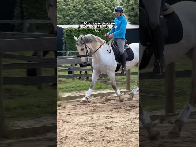 POV: showjumpers when they have to ride in dressage tack #horse #equestrianrider #equestrian
