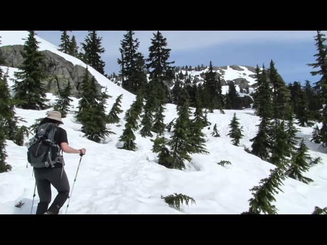Mt Seymour Snowshoeing