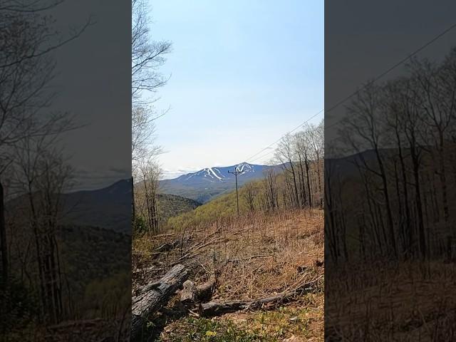 Appalachian Trail Bloopers #hiking #2023 #backpacking #fly #adventure #vermont #shorts #shortsvideo