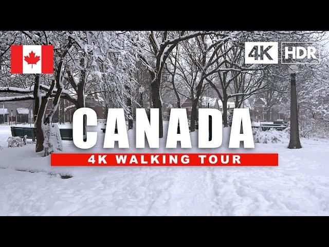  Canada Snowfall City Walking Tour ️ Ottawa Centretown Byward Market Night Walk | 4K HDR 60fps