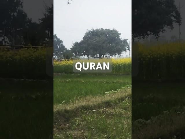 Surah Al Quran Islam video