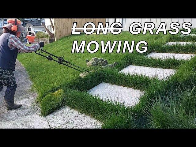 LONG GRASS MOWING | Satisfying transformation