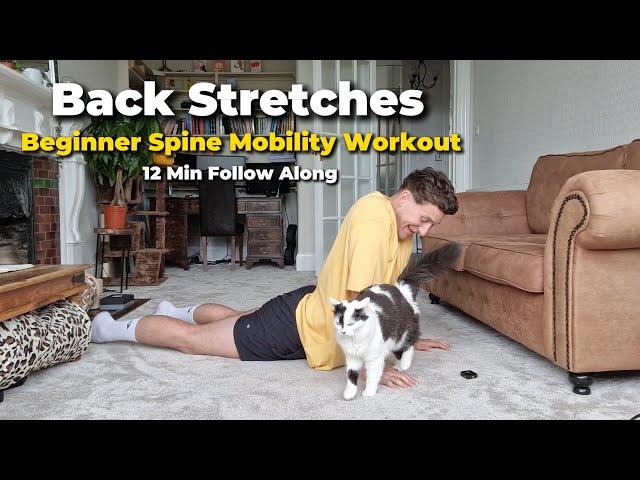 Beginner Back Stretches | Spine Mobility Workout | 12 Minute Follow Along | No Equipment Needed