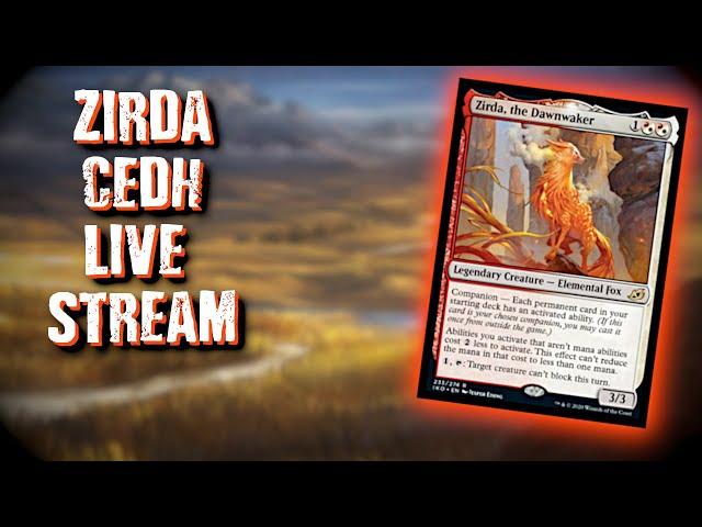 Zirda CEDH Livestream