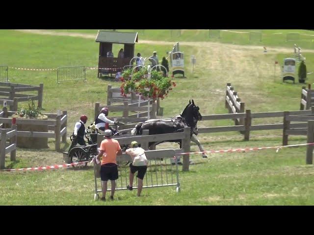 László FARKAS (HUN) - CAI***, H2, Szilvásvárad (Hungary), marathon driving, obst. Nr. 1, 15.07.2023