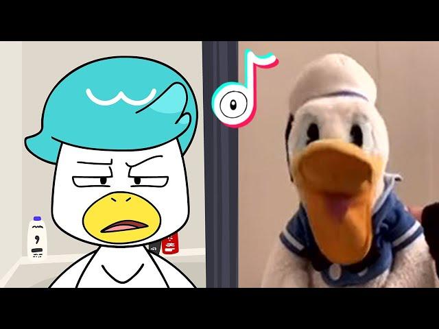 Quaxly reacts to a TikTok (LOUD ANIMATION)