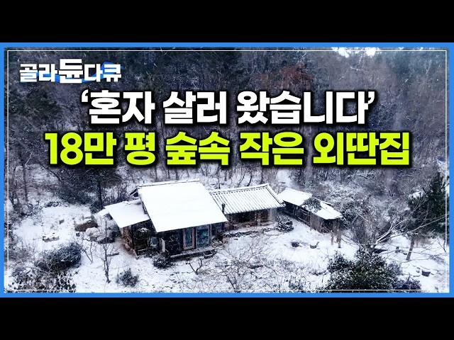 ‘불편해도 낭만 있잖아요’ 18만 평 드넓은 숲속에 덩그러니 자리한 작은 시골집으로 귀촌한 남자｜한국기행｜#골라듄다큐