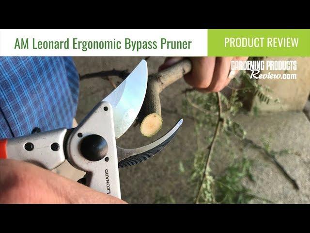 AM Leonard Ergonomic Bypass Pruner Review | The Gardening Products Review