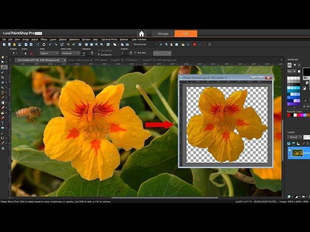 How to Use the Magic Wand Selection Tool in PaintShop Pro