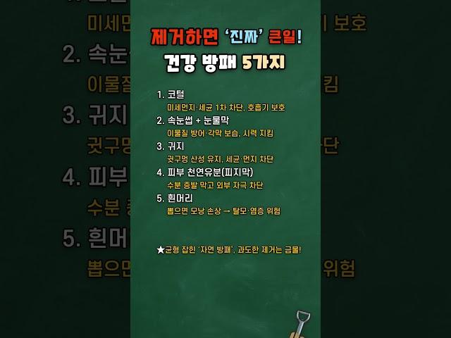 몸에서 제거하면 ‘진짜’ 큰일! 건강방패 중요도 TOP 5 #건강정보 #건강관리