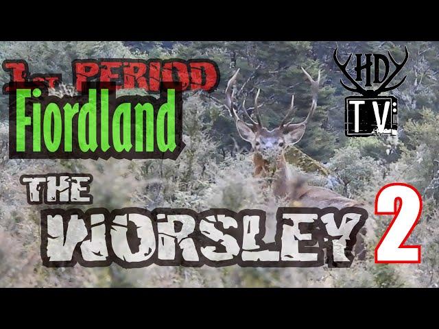 Fiordland Wapiti Hunting adventure part 2