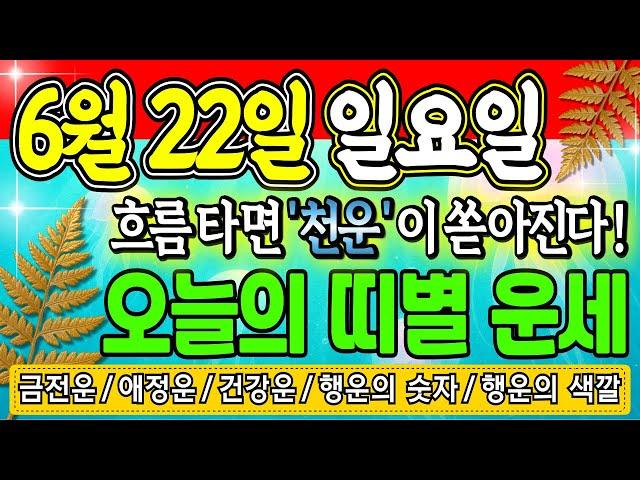 [오늘의 운세] 2025년 6월 22일 (일) — 오늘 대운 흐르는 띠는? 돈복·애정운·행운색까지 총정리!