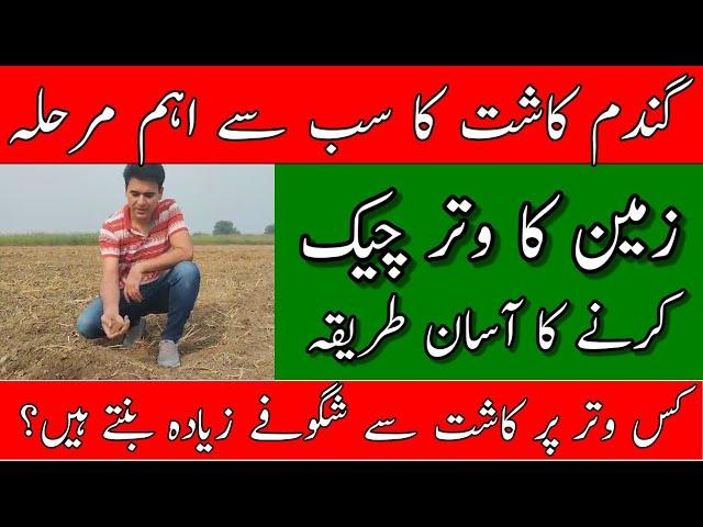 How to check soil moisture for wheat cultivation|Gandm kashat Kay liy moisture check kerny ka tariqa