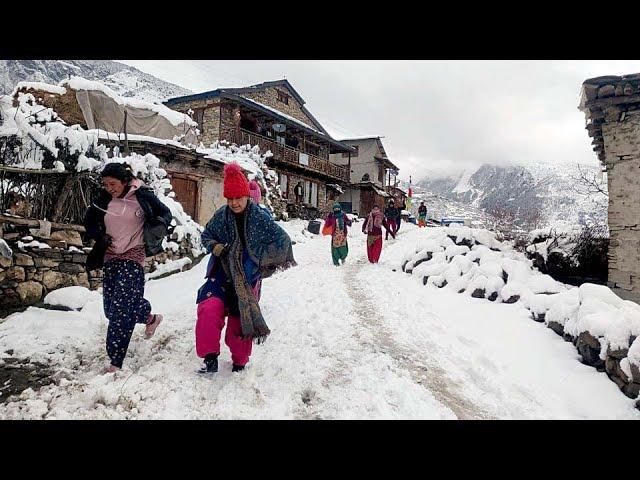 this is himalayan nepali village life || Best Life In The Nepali Mountain Village During The Snow |