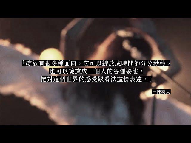 添翼 15 週年｜綺貞篇：多面向的綻放之花