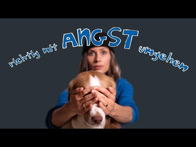 Hund hat Angst // Tipps für den richtigen Umgang mit Angst und Unsicherheit // hundplusherz