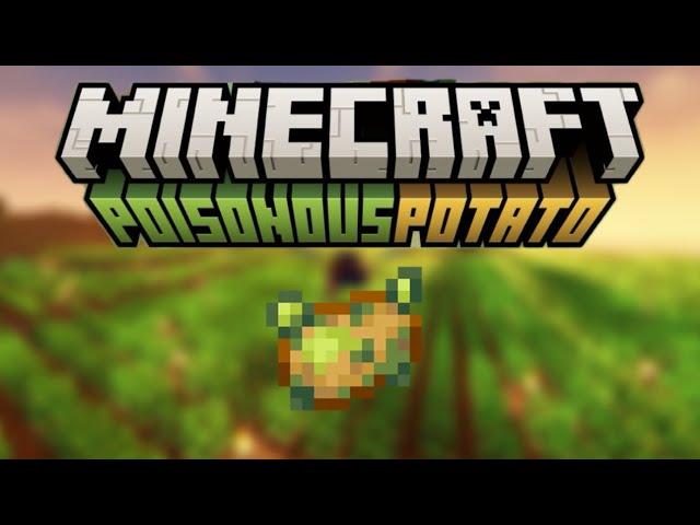 Minecraft’s BEST update ever (Poisonous potato update)