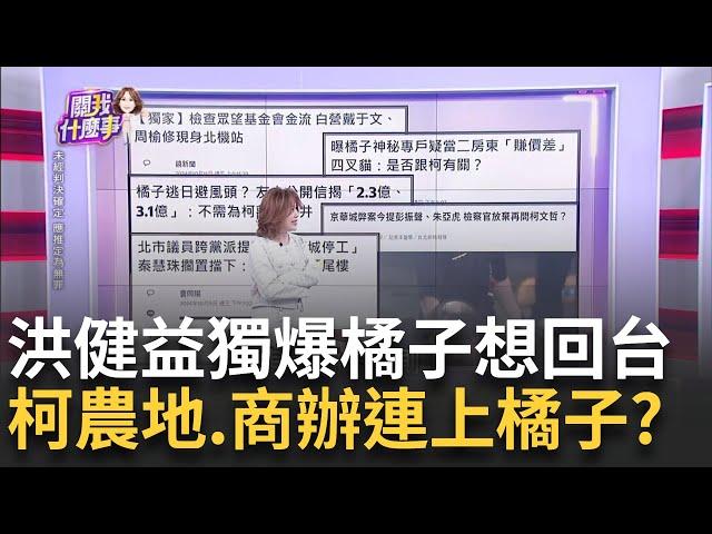 獨! 洪健益爆橘子憂重判.拒聯絡? 認經手USB.企業捐款?新! 金流收網...周榆修.戴于文10餘人遭約談! 柯快被破防?｜陳斐娟 主持｜【關我什麼事PART1】20241011｜三立iNEWS