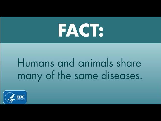 One Health Facts: Humans and Animals Share Diseases