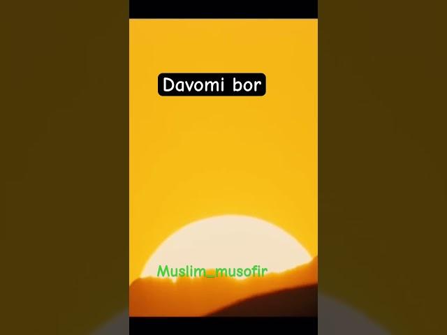 ️Ⓜ️Fozil qori #muslim #musofir #ummatimuhammad