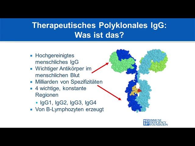 Übersicht der IG-Therapien und der entsprechenden Krankheitsbilder