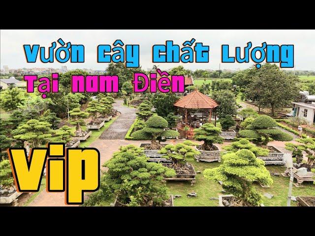 Vườn cây chất lượng như công viên thu nhỏ tại Nam Điền Năm Định