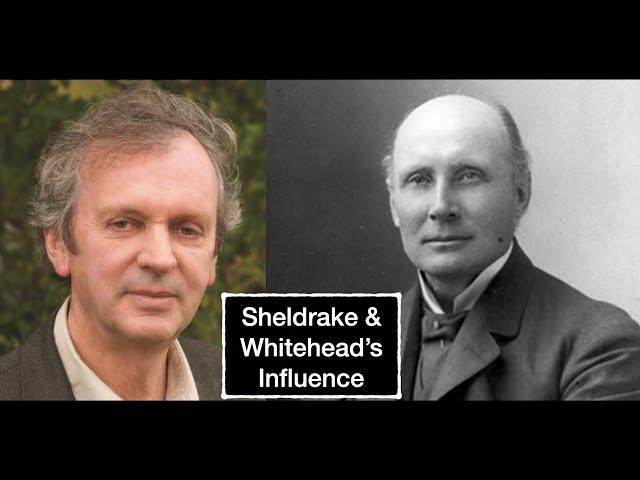 Rupert Sheldrake on the Influence of A. N. Whitehead