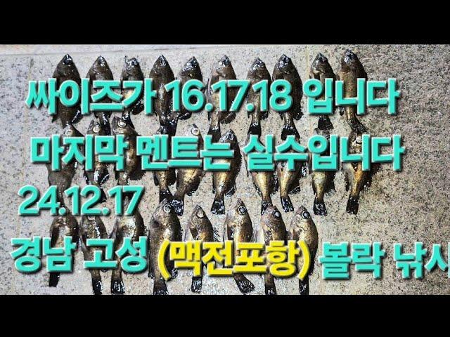 경남 고성 볼락 낚시(24.12.17)9물