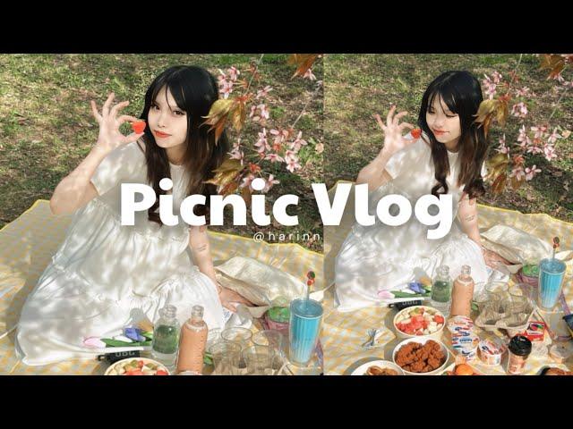 Picnic Vlog | Mùa xuân chính thức  | Du Học Phần Lan | harinn