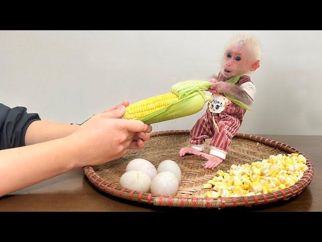 Lala helps Mom make delicious fried corn with eggs!