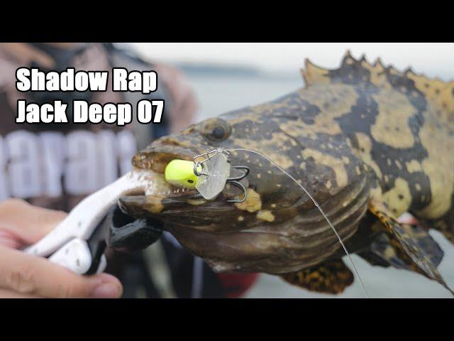 Grouper fishing with the new Rapala Jack Deep 07