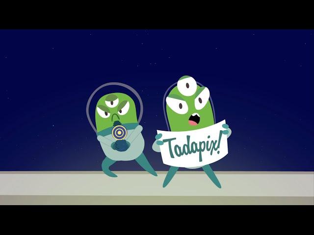 Tadapix Animated Marketing Intro