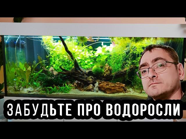 Lazy aquarium on sand: forget the filter and algae! Aquarium without filter! 4K